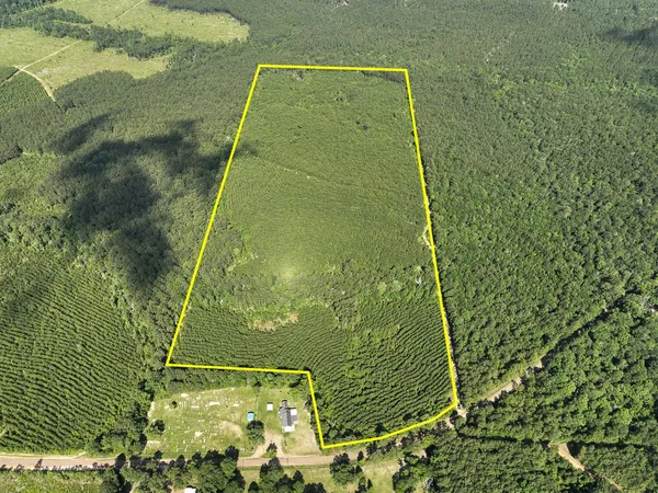 a view of a yard in a yard