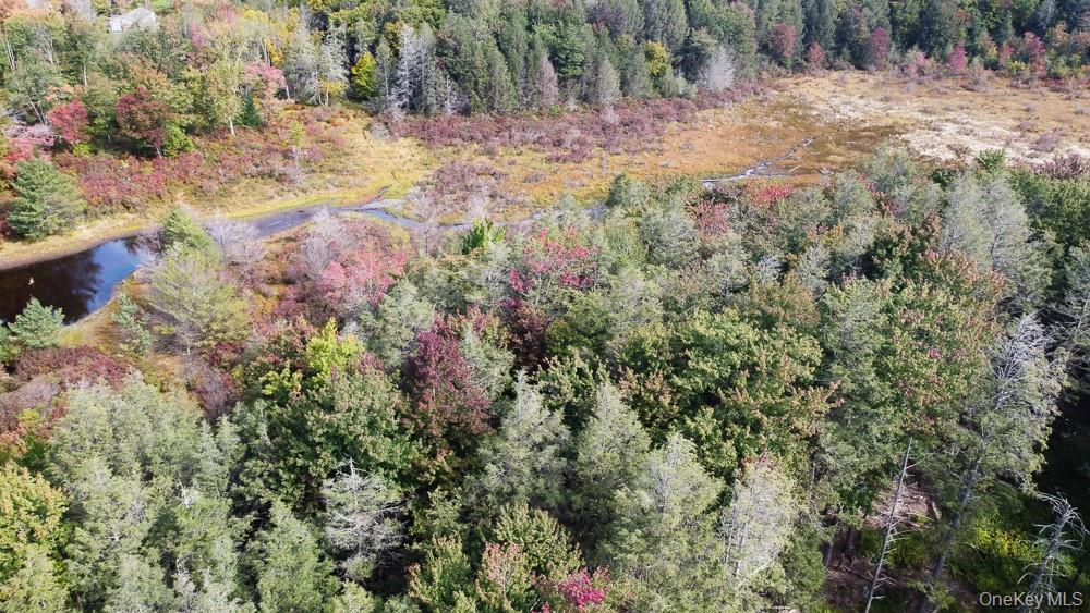 Seeman Road Neversink, NY 12765 - Photo 11 of 12 Gallery Image 11