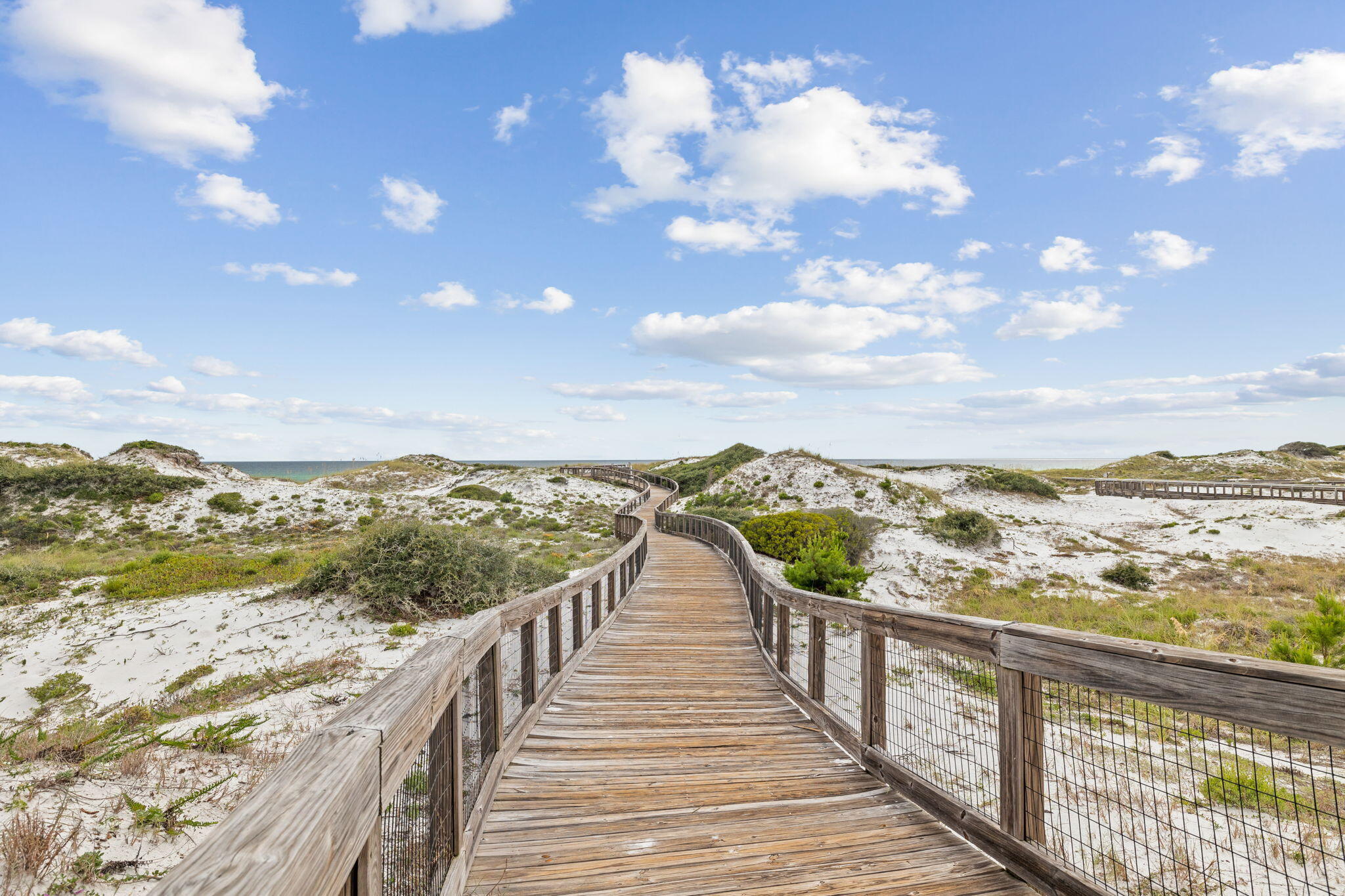 17 North Watch Tower Lane Watersound, FL 32461 - Photo 193 of 195 Dune walkover to beach