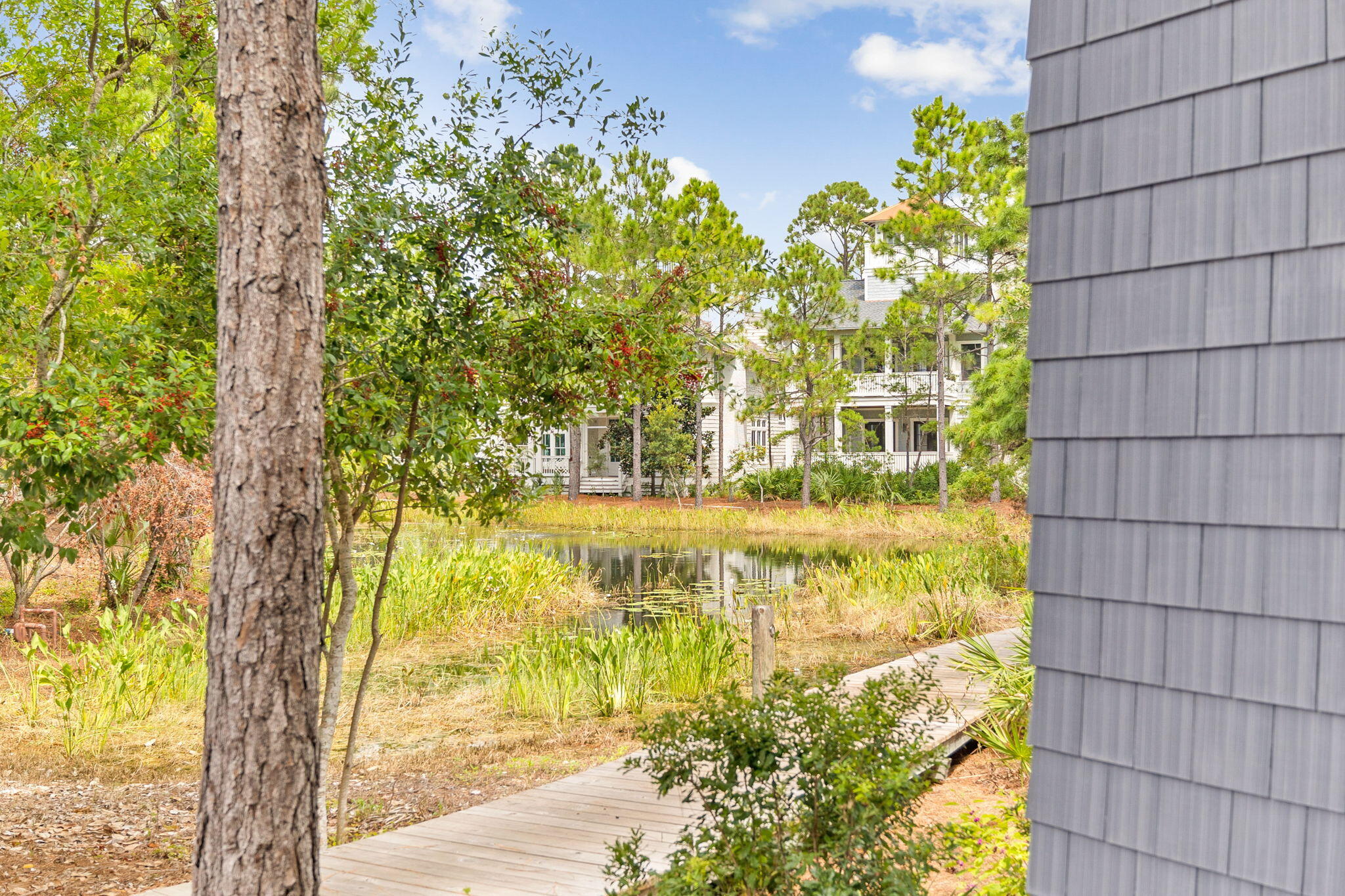 17 North Watch Tower Lane Watersound, FL 32461 - Photo 98 of 195 West exit to boardwalk