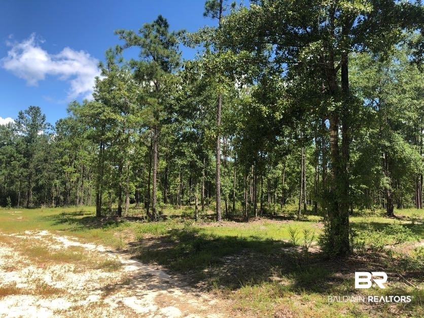 12359 Red Hill Rd Extension Bay Minette, AL 36507 - Photo 11 of 16
