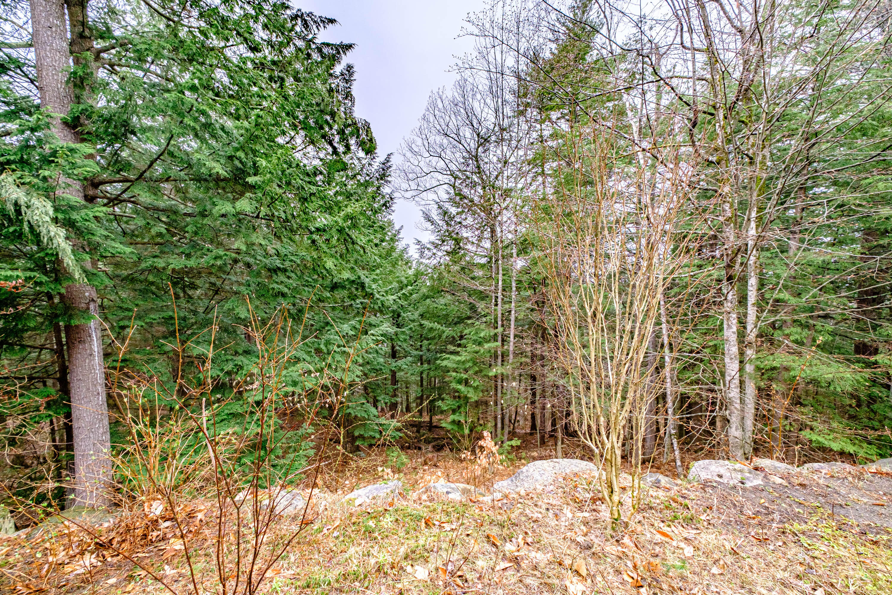 42 Winding Way Raymond, ME 04071 - Photo 59 of 59 20230417gp-60068