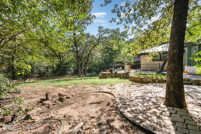 a view of a yard with plants and large trees