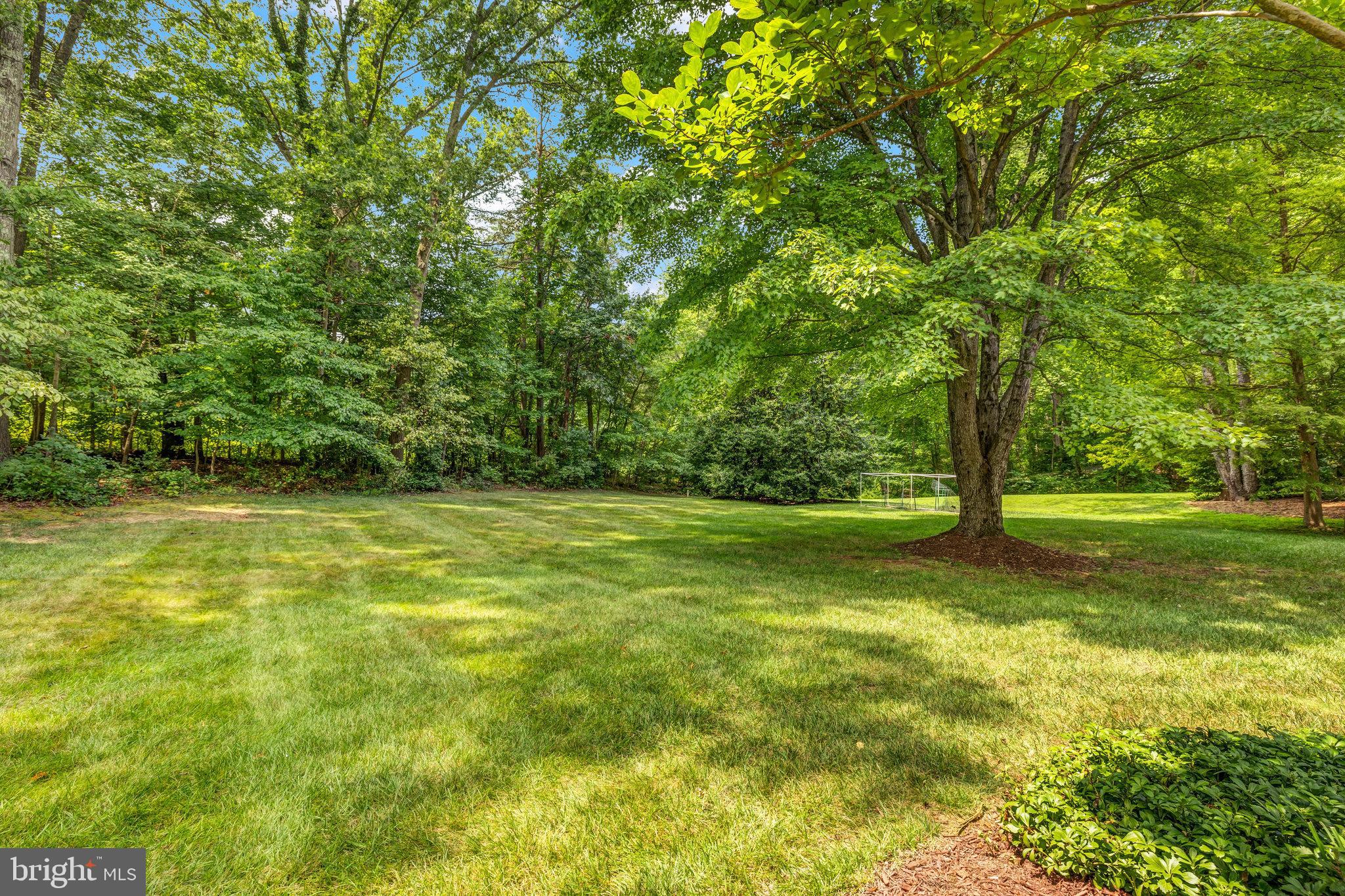 1902 Buckthorn Lane Reston, VA 20191 - Photo 65 of 72 Flat open backyard