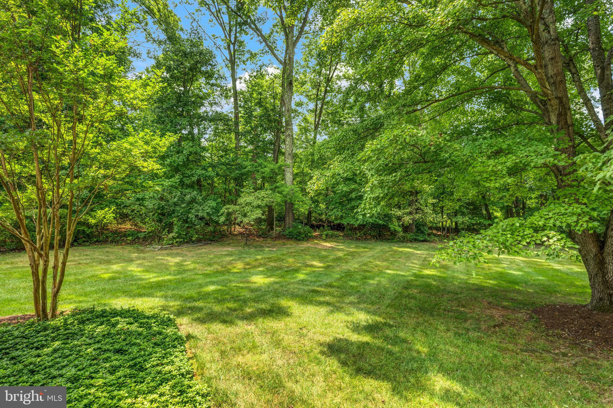 1902 Buckthorn Lane Reston, VA 20191 - Photo 68 of 72 Expansive backyard