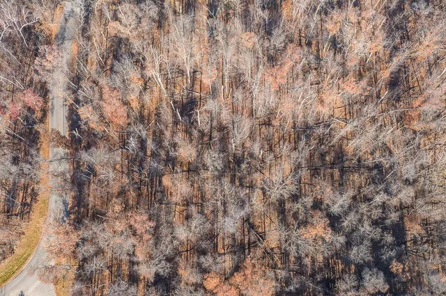 $184,900 | Tbd Gull River Road, Brainerd, MN 56401