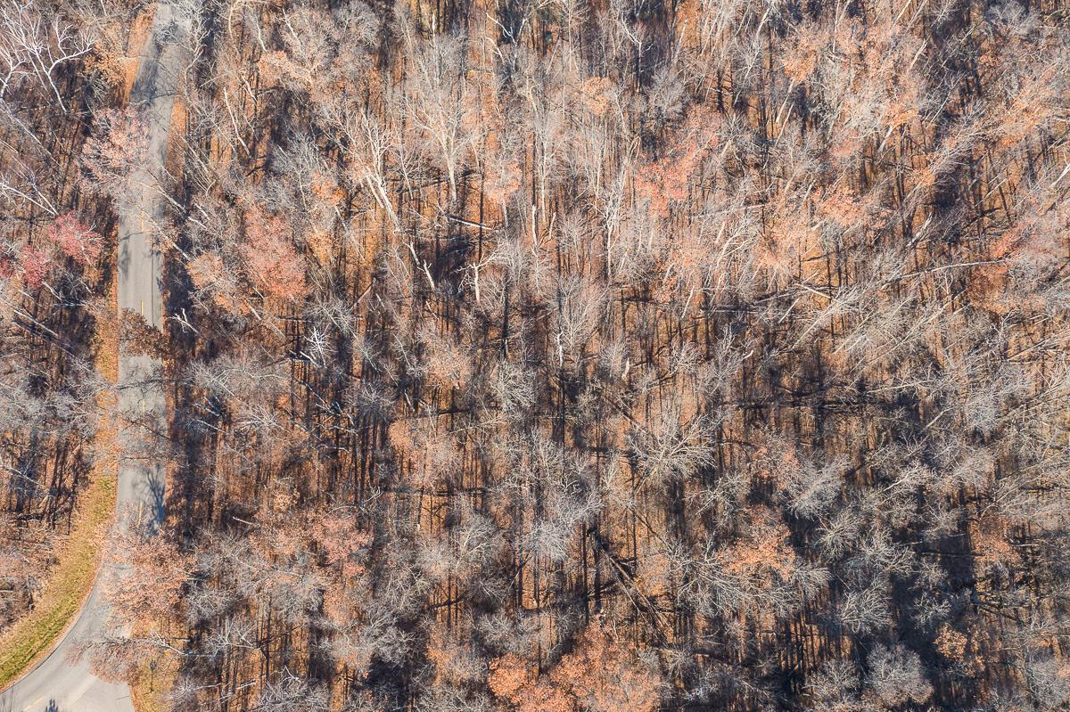 Tbd Gull River Road Brainerd, MN 56401 - Photo 11 of 20