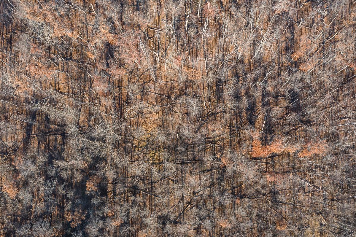 Tbd Gull River Road Brainerd, MN 56401 - Photo 12 of 20