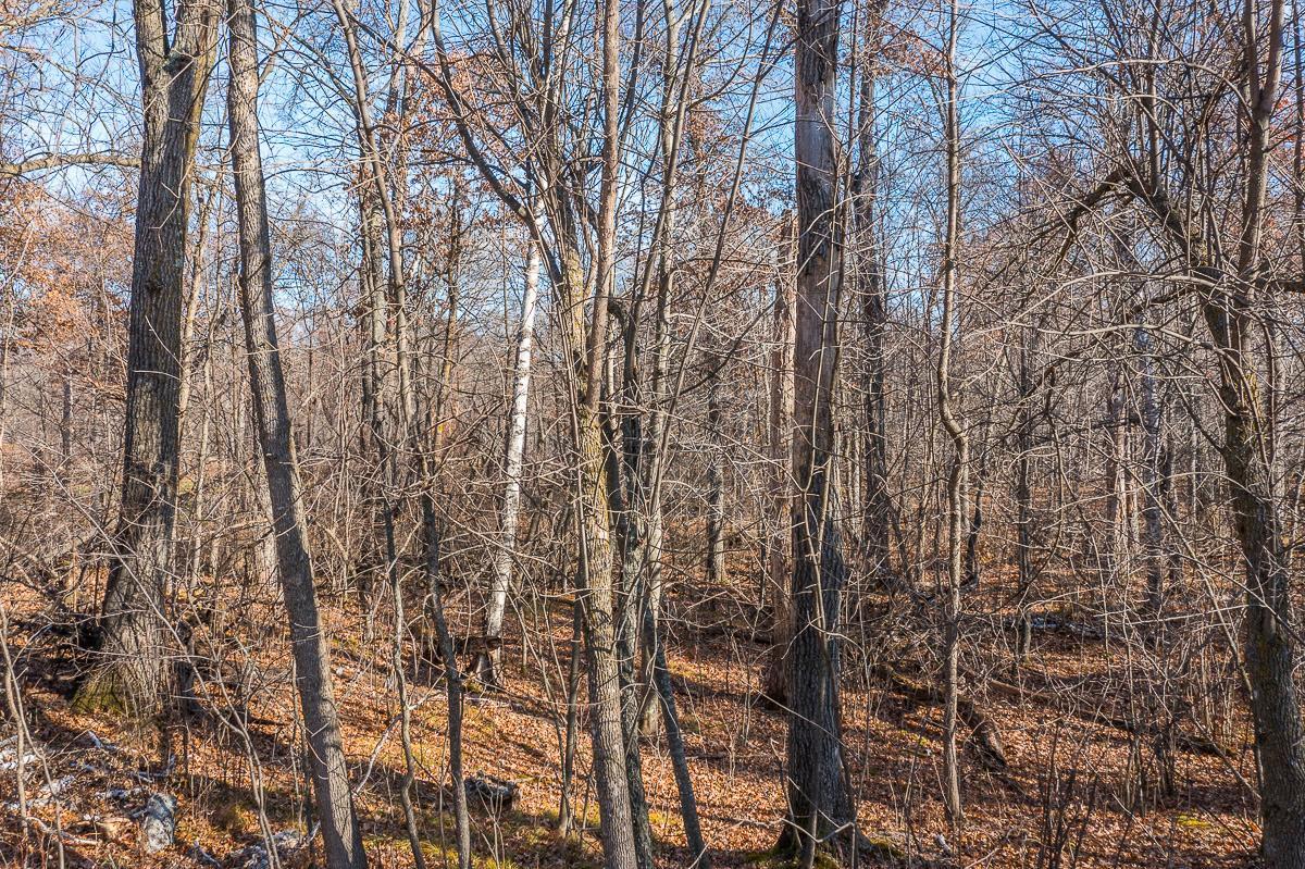 Tbd Gull River Road Brainerd, MN 56401 - Photo 18 of 20