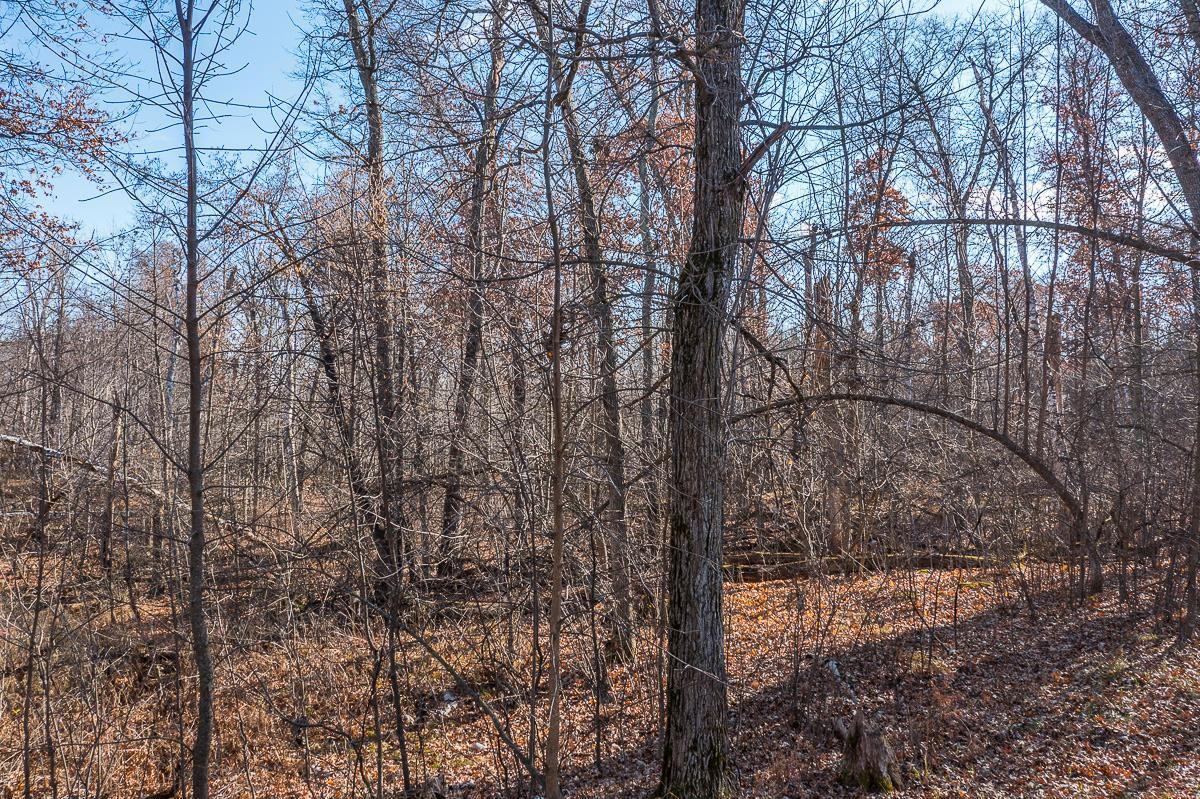 Tbd Gull River Road Brainerd, MN 56401 - Photo 19 of 20