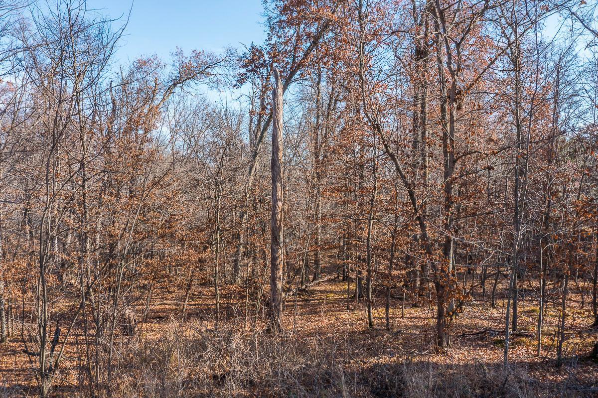 Tbd Gull River Road Brainerd, MN 56401 - Photo 7 of 20