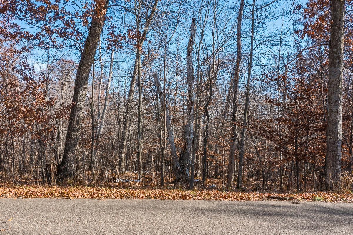 Tbd Gull River Road Brainerd, MN 56401 - Photo 9 of 20