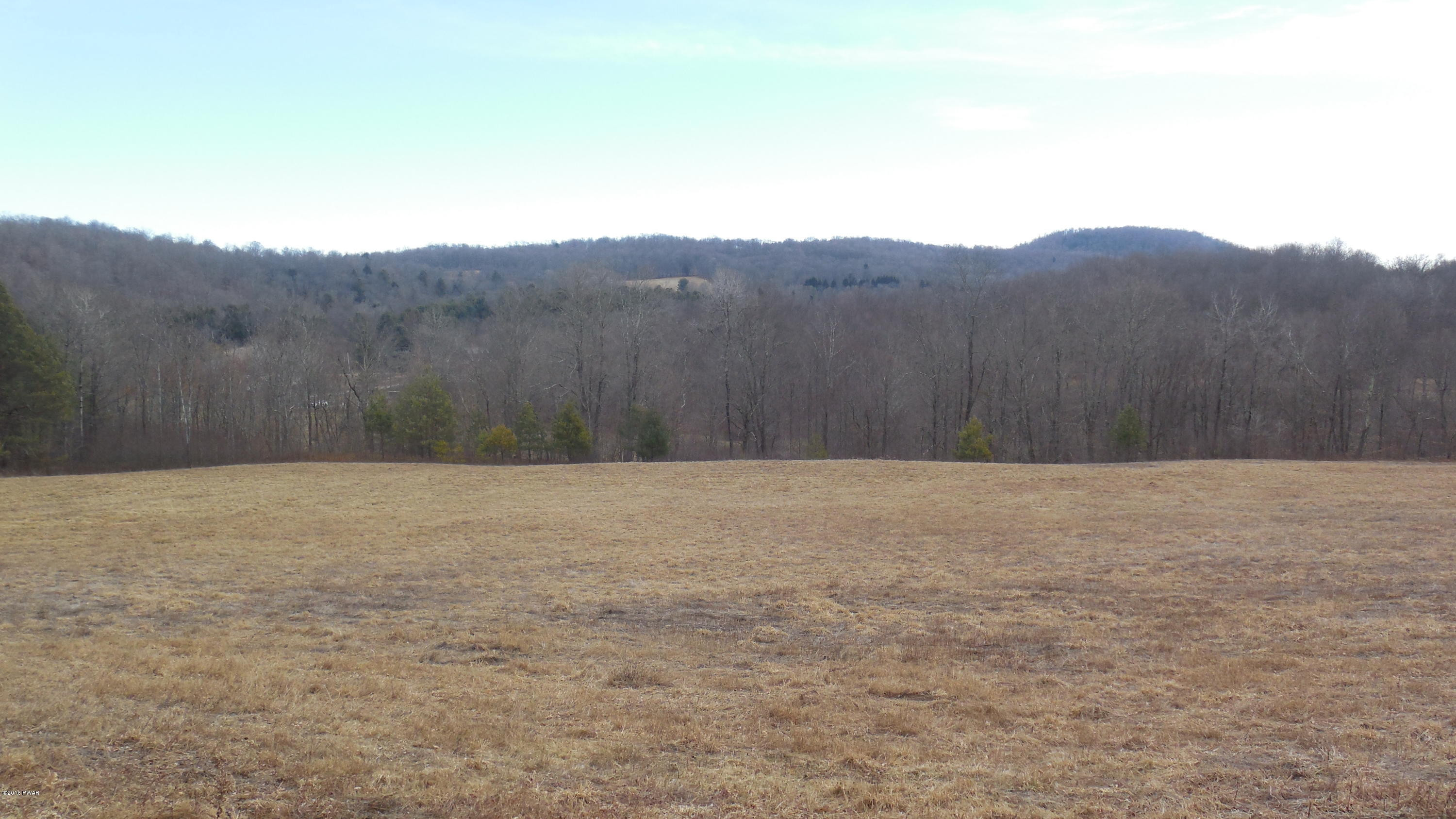 352 Hellmers Hill Road Equinunk, PA 18417 - Photo 31 of 34