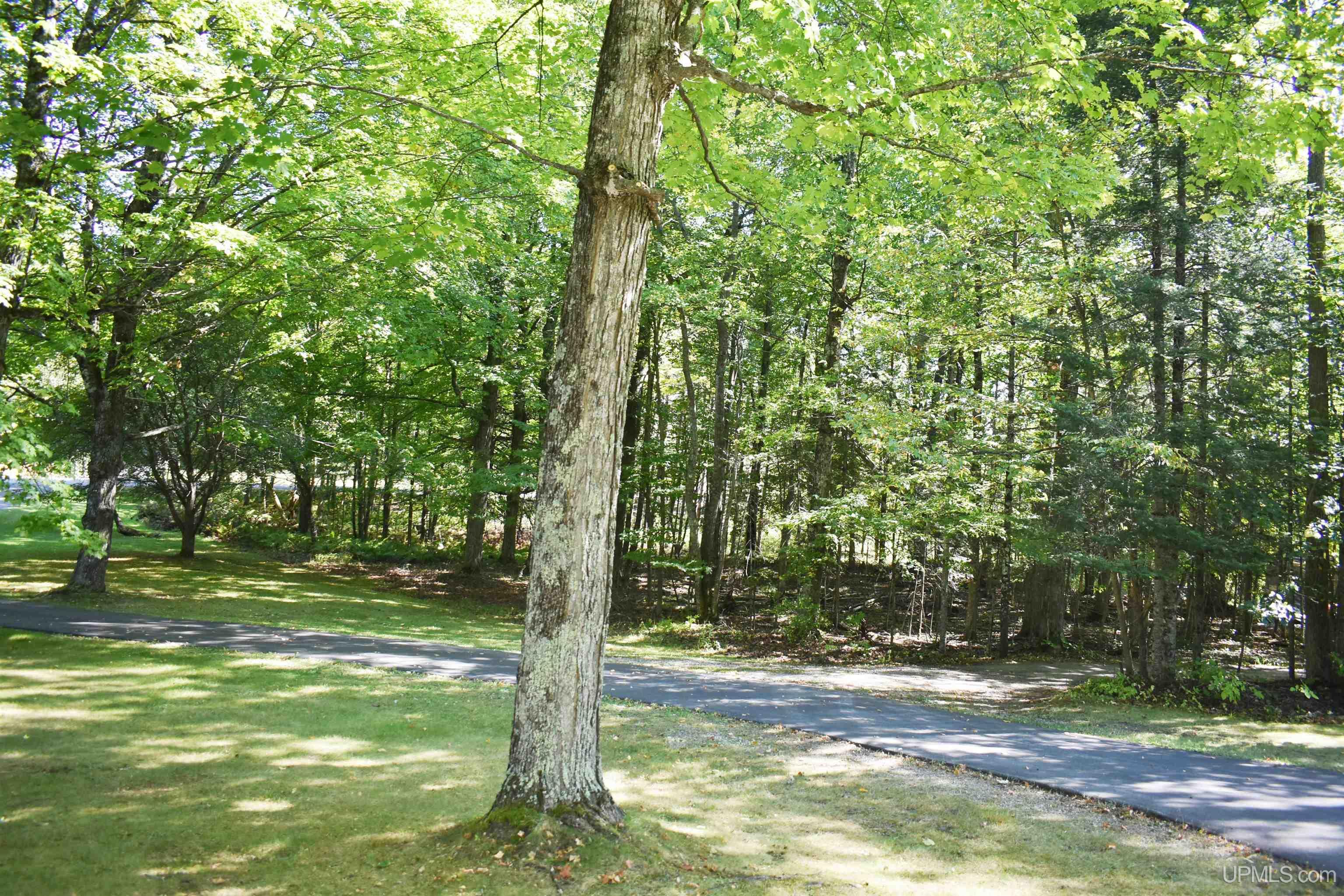 10639 South 75 Road Rapid River, MI 49878 - Photo 8 of 38 Gallery Image 8