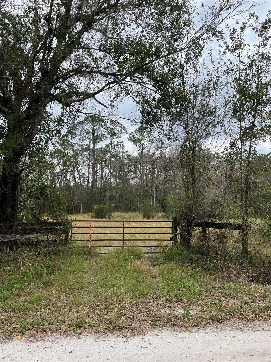 641 Sheppard Road Venus, FL 33960 - Photo 1 of 7 a view of outdoor space with deck and yard