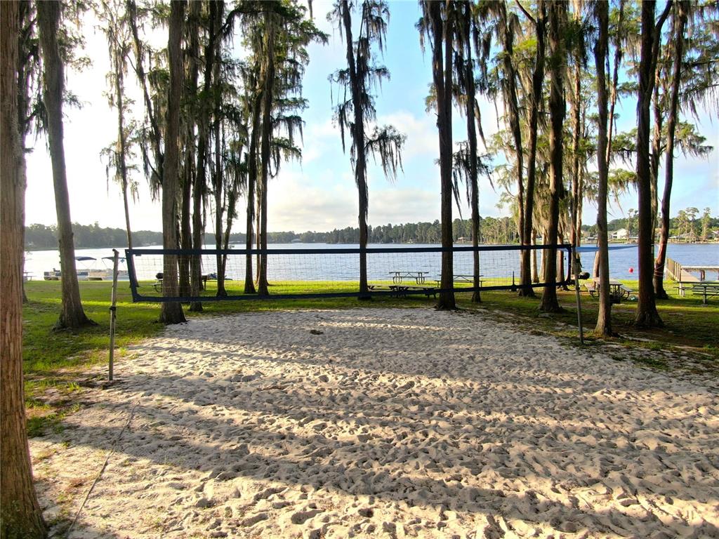 13826 Windfall Lane Odessa, FL 33556 - Photo 11 of 14