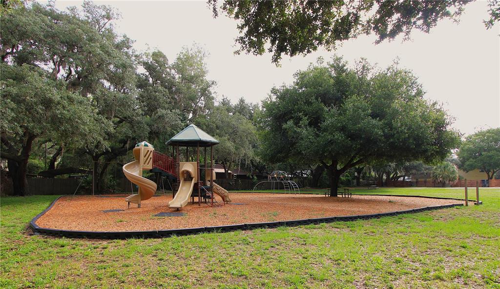 13826 Windfall Lane Odessa, FL 33556 - Photo 13 of 14