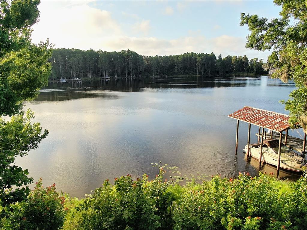 13826 Windfall Lane Odessa, FL 33556 - Photo 2 of 14