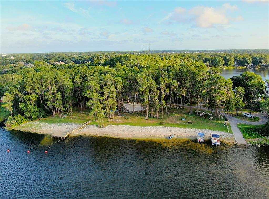 13826 Windfall Lane Odessa, FL 33556 - Photo 8 of 14