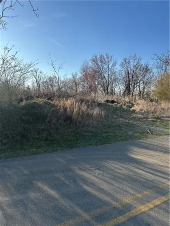 a view of a yard