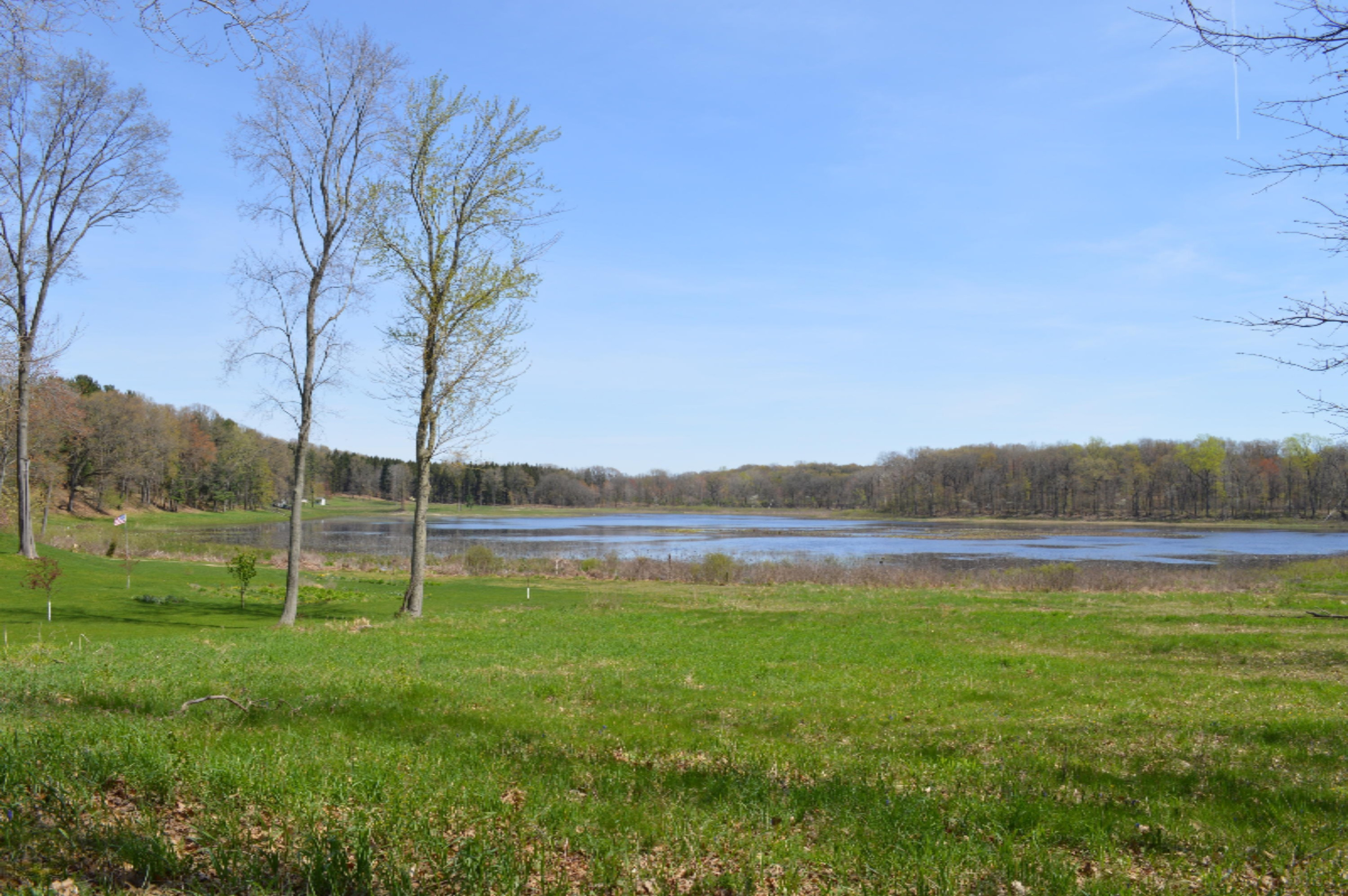 11365 Jones Road Berrien Springs, MI 49103 - Photo 13 of 20 Vacant land