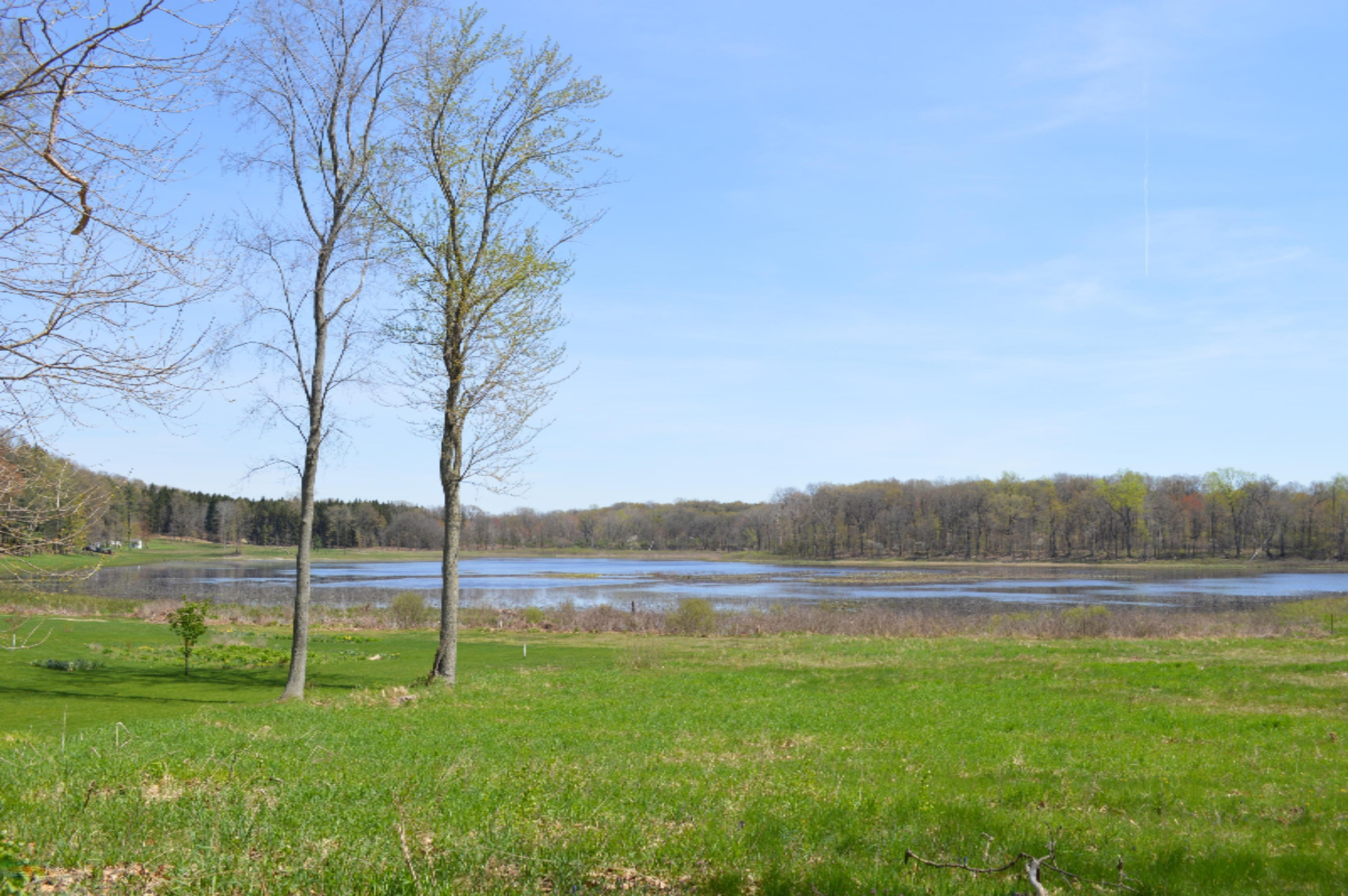 11365 Jones Road Berrien Springs, MI 49103 - Photo 14 of 20 Vacant land