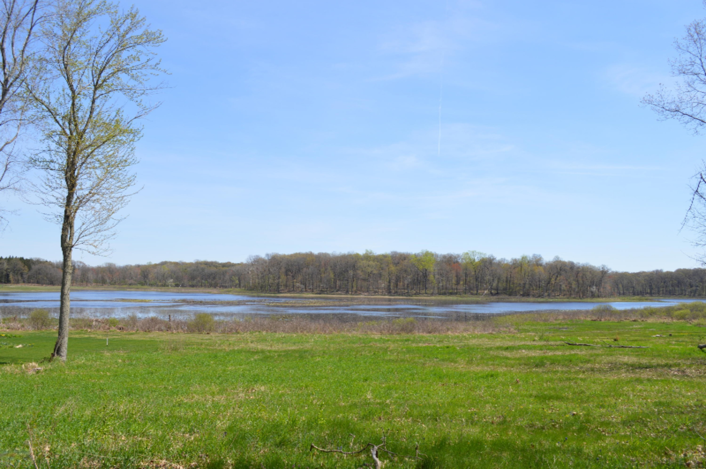 11365 Jones Road Berrien Springs, MI 49103 - Photo 15 of 20 Vacant land