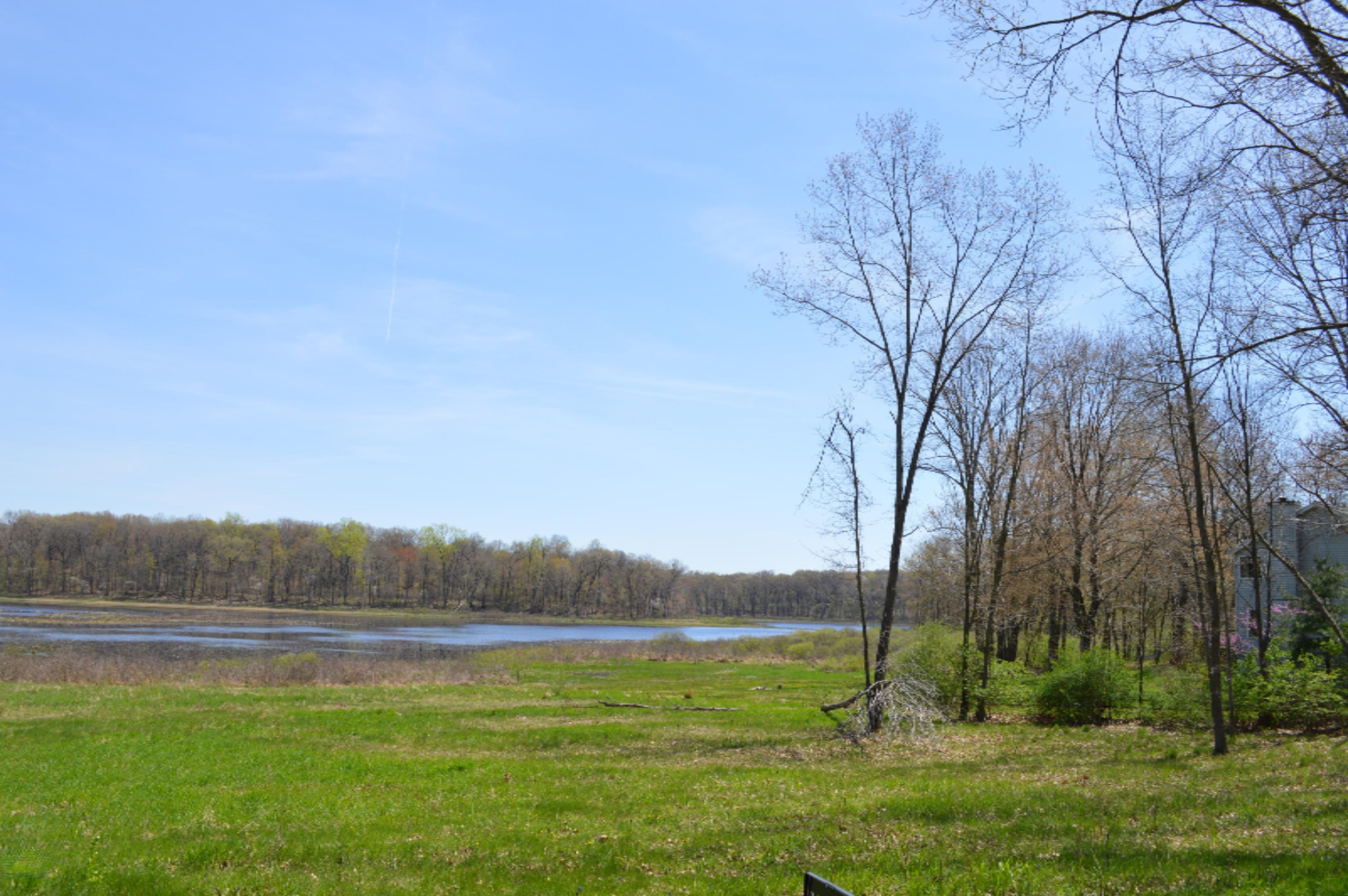 11365 Jones Road Berrien Springs, MI 49103 - Photo 16 of 20 Vacant land
