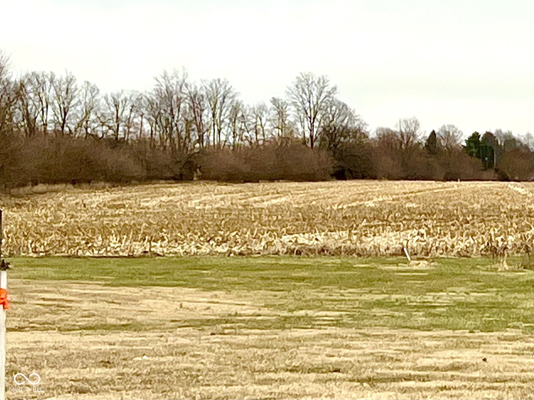 0 South Meridian Road Greenfield, IN 46140 - Photo 4 of 7