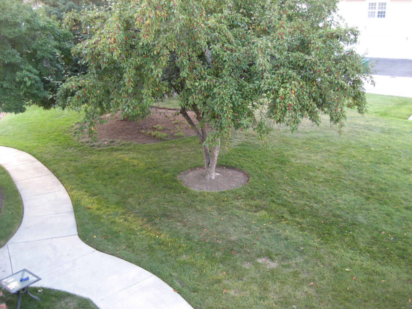 294 Le Parc Circle Buffalo Grove, IL 60089 - Photo 22 of 24 a view of a garden with a fountain