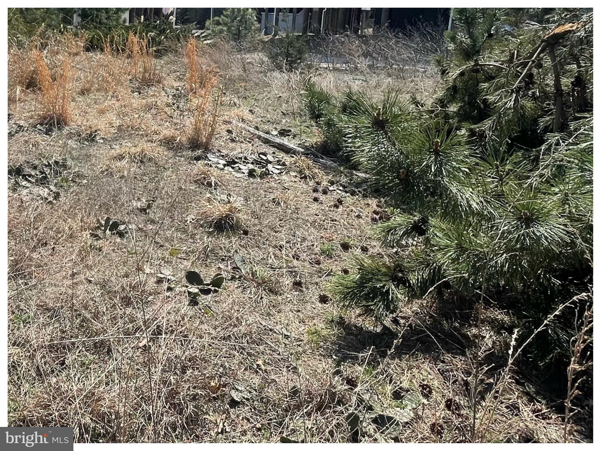 Pintail Lane Milton, DE 19968 - Photo 2 of 4