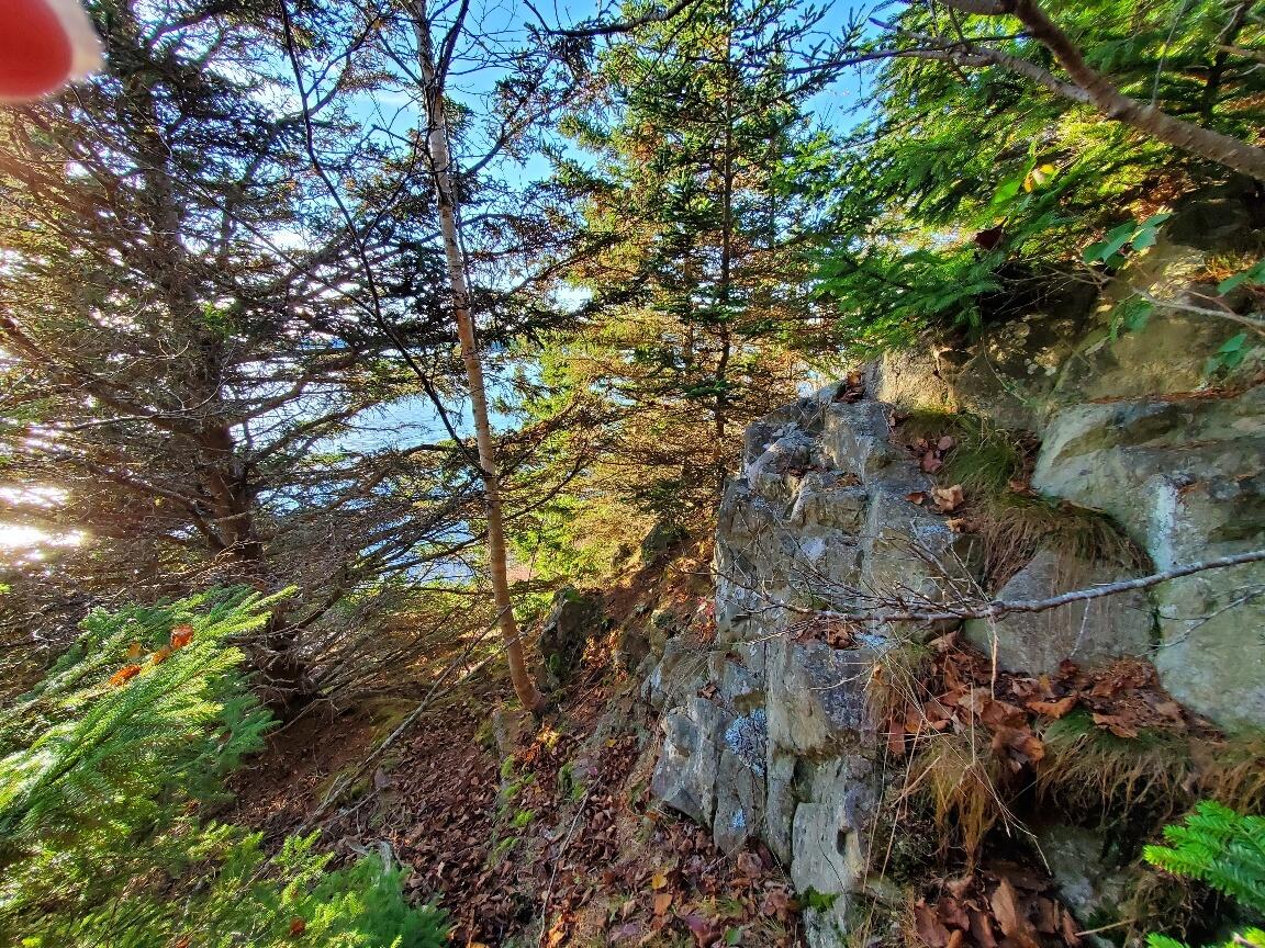 Lot 7 South Ocean Road Machiasport, ME 04655 - Photo 30 of 44 glacial boulders