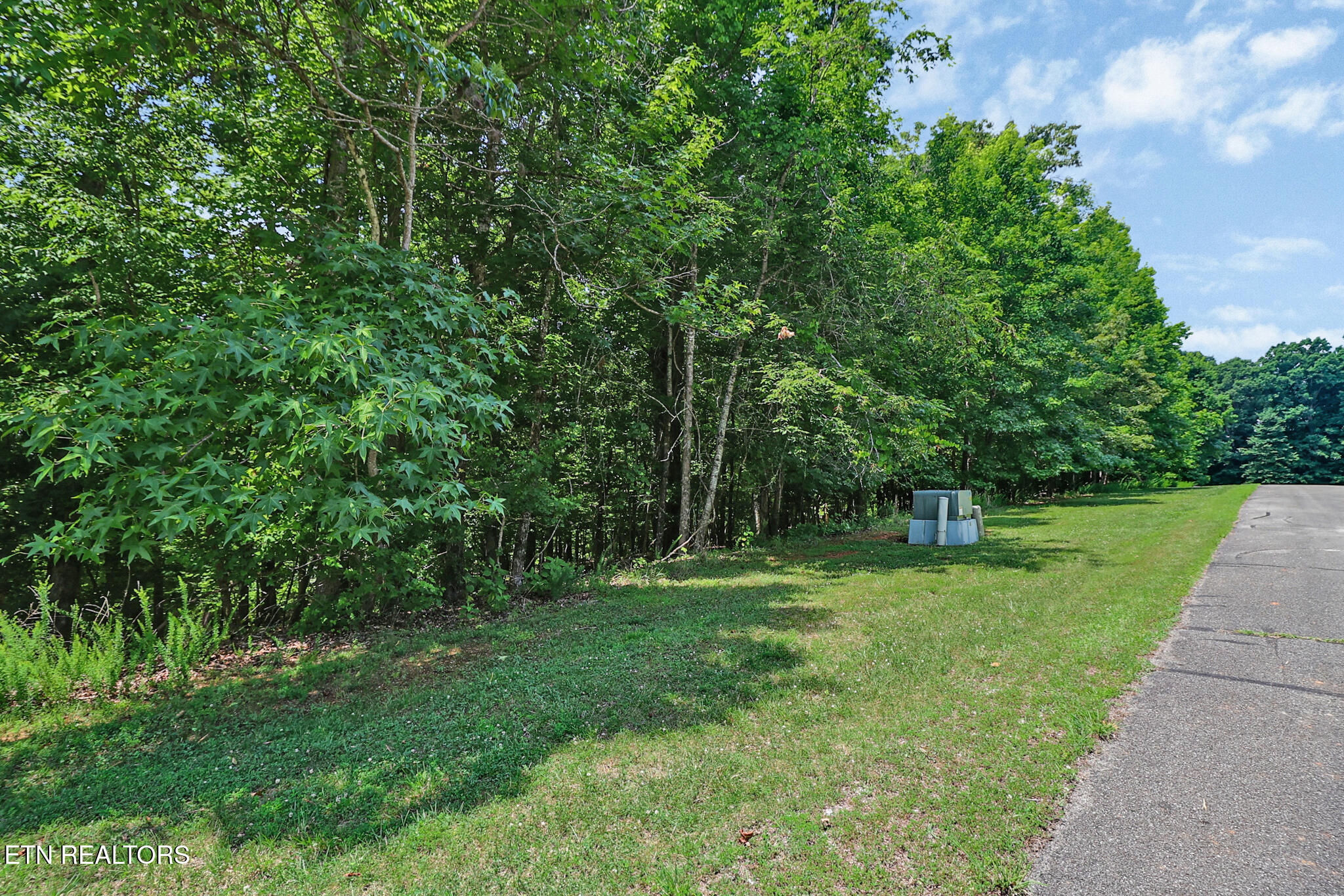 Lot 216 Reuben Ridge Road Rockwood, TN 37854 - Photo 14 of 15 n44a7392-n44a7396