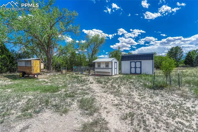 a front view of a house with a yard and a large tree