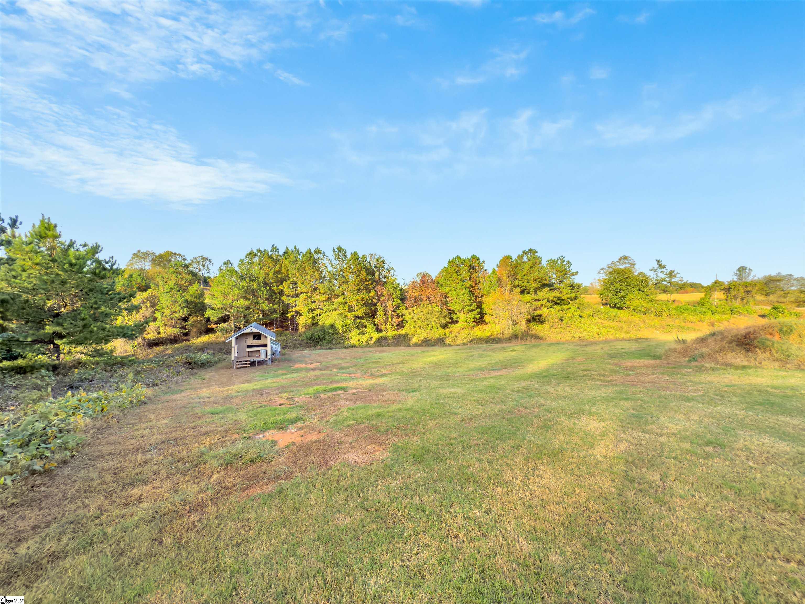 332 Rector Road Lyman, SC 29365 - Photo 26 of 28