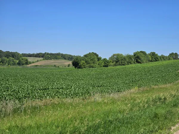 $325,000 | 83 Battle Lake, Battle Lake, MN 56515