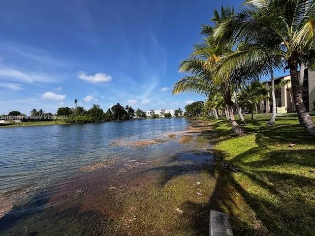 a view of a park with palm trees