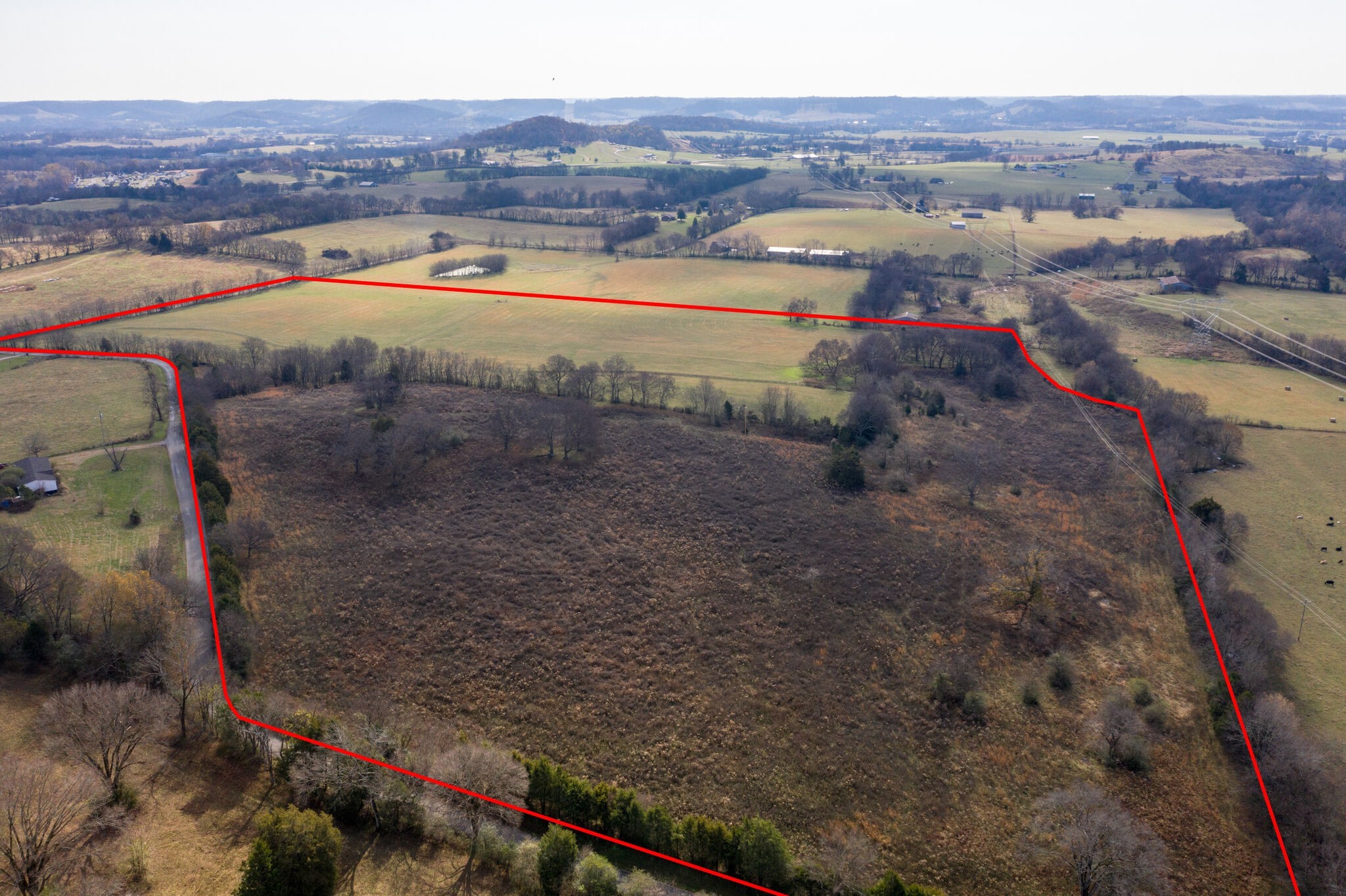 0 Coleman Road Cornersville, TN 37047 - Photo 3 of 11 Gallery Image 3