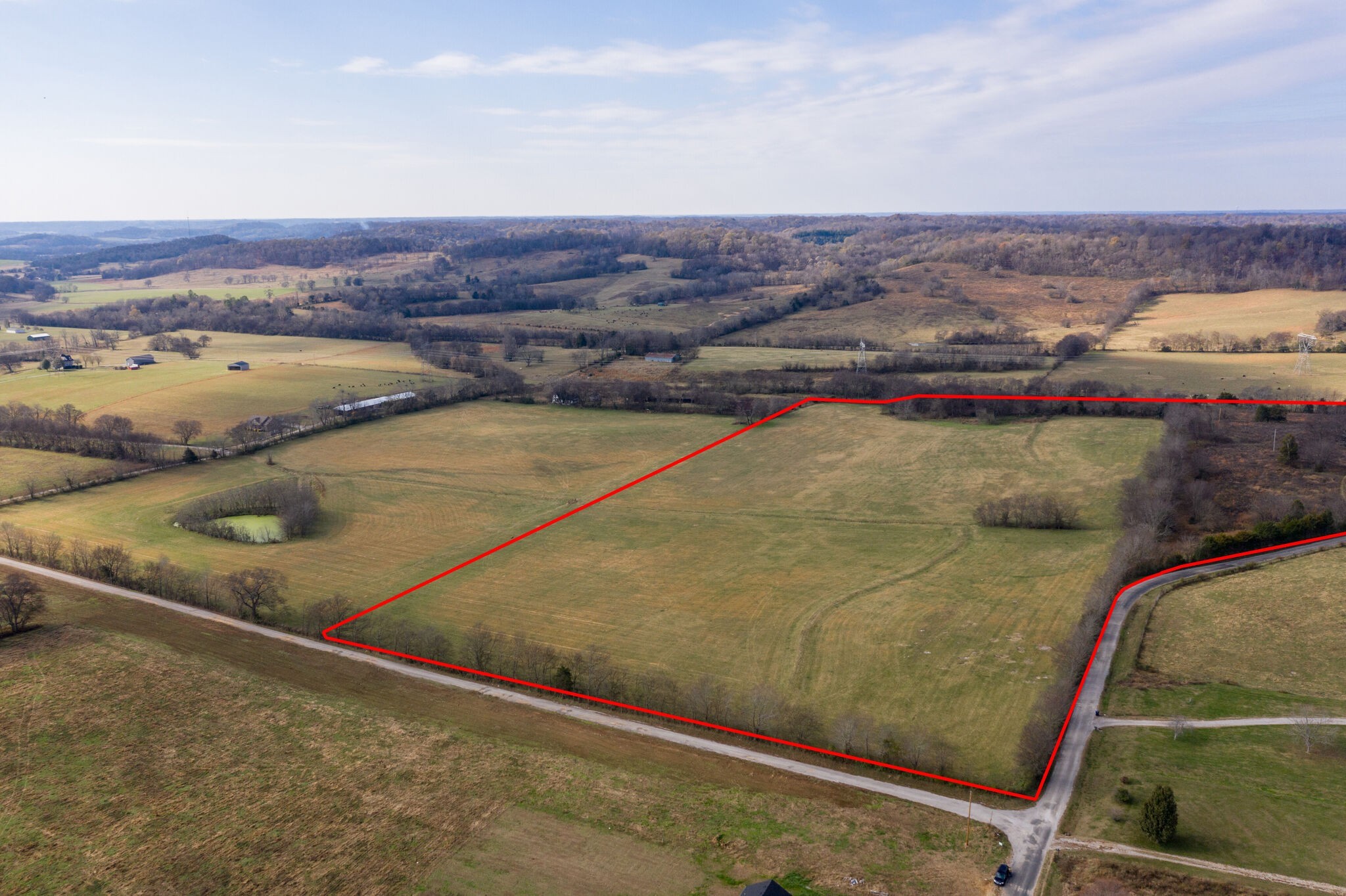 0 Coleman Road Cornersville, TN 37047 - Photo 4 of 11 Gallery Image 4