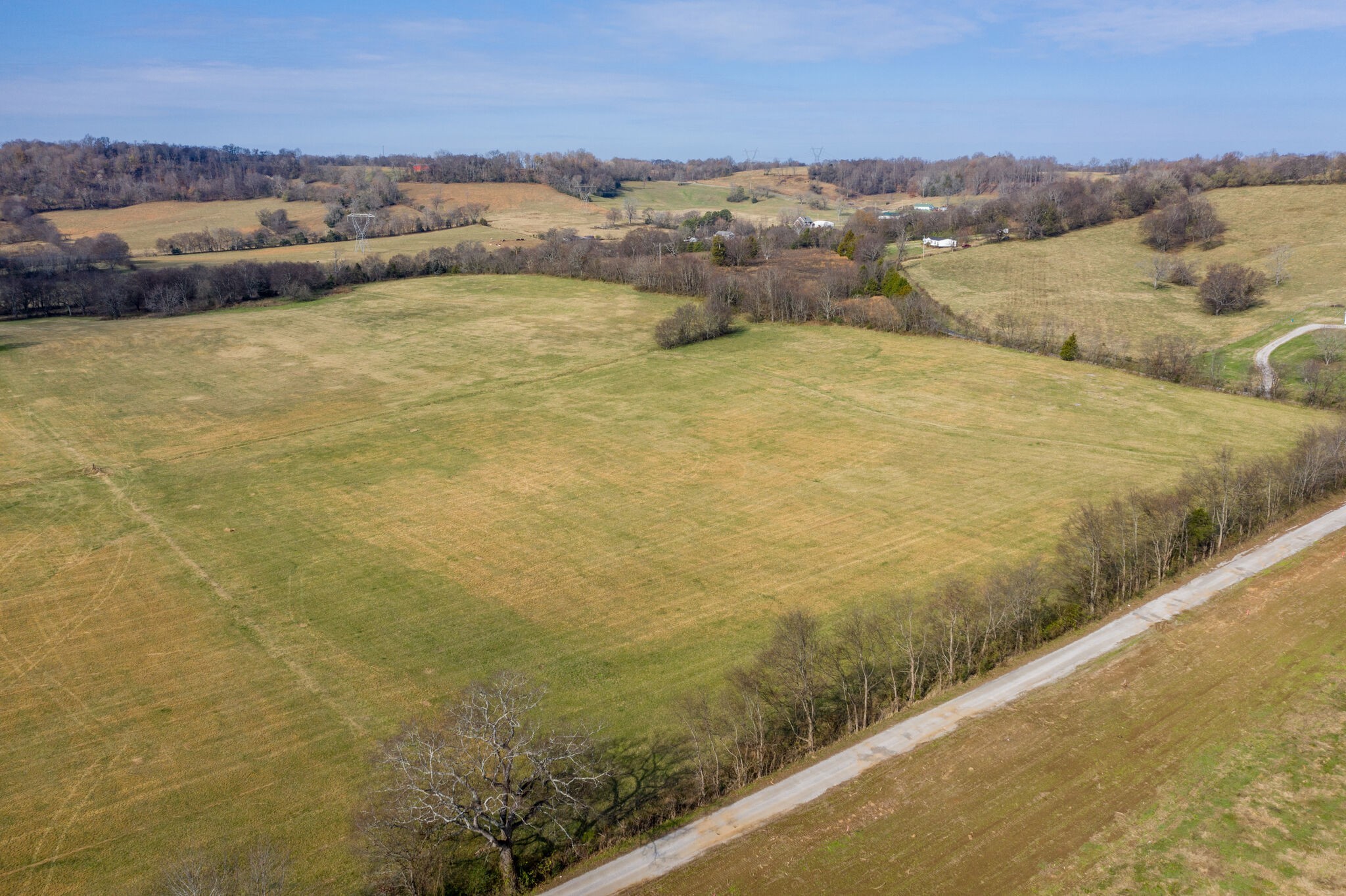 0 Coleman Road Cornersville, TN 37047 - Photo 5 of 11 Gallery Image 5