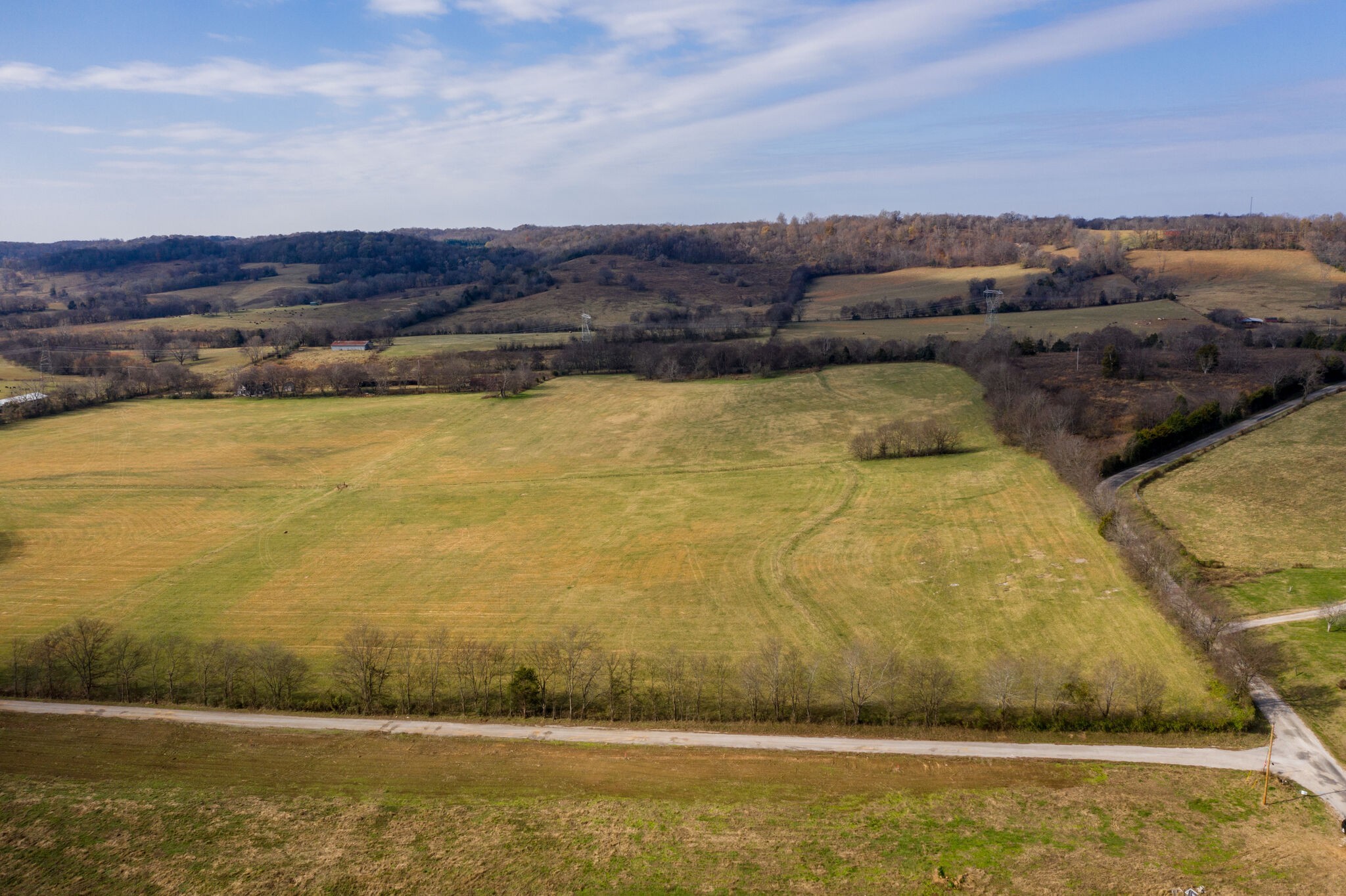 0 Coleman Road Cornersville, TN 37047 - Photo 6 of 11 Gallery Image 6