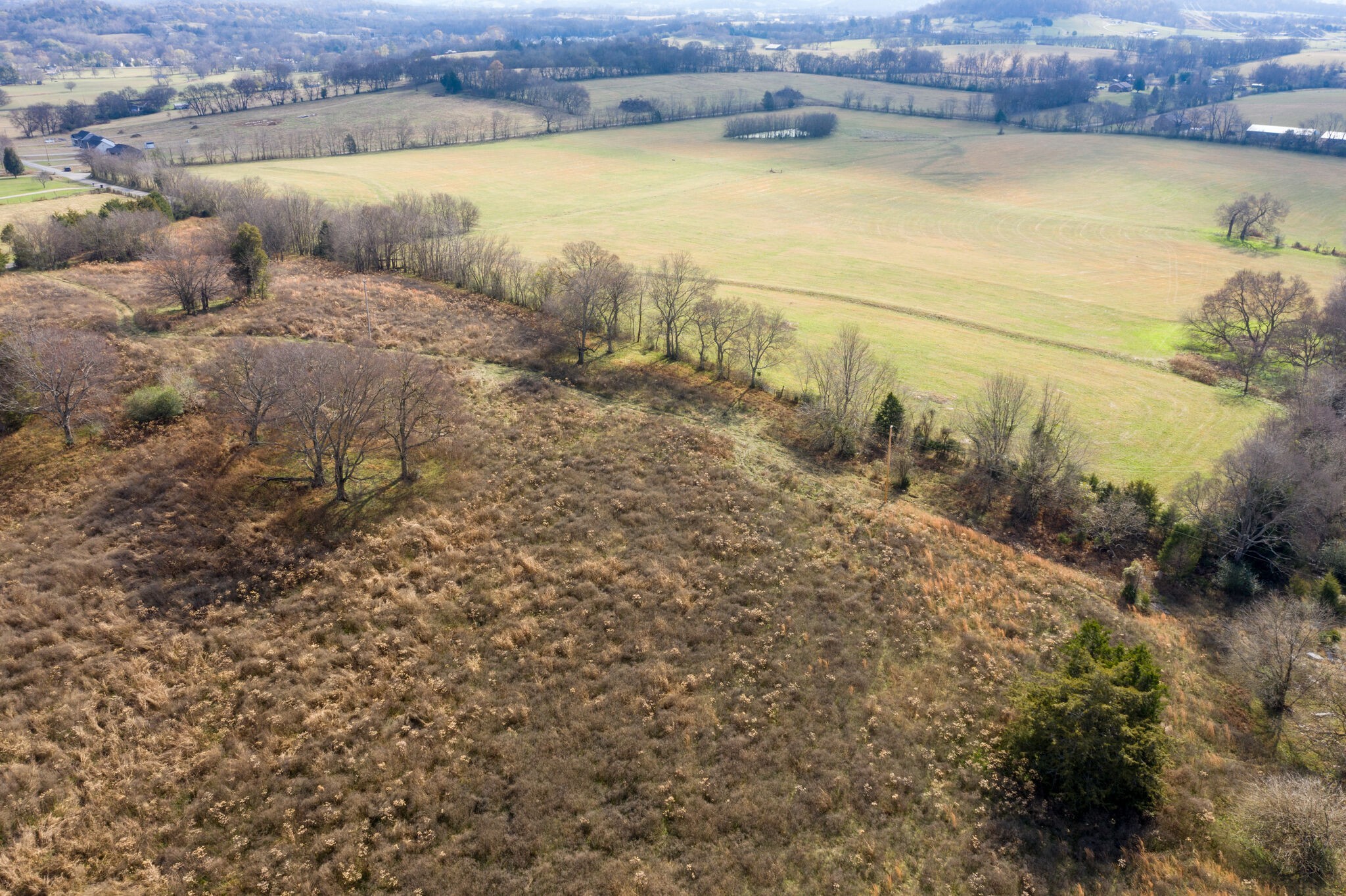 0 Coleman Road Cornersville, TN 37047 - Photo 7 of 11 Gallery Image 7