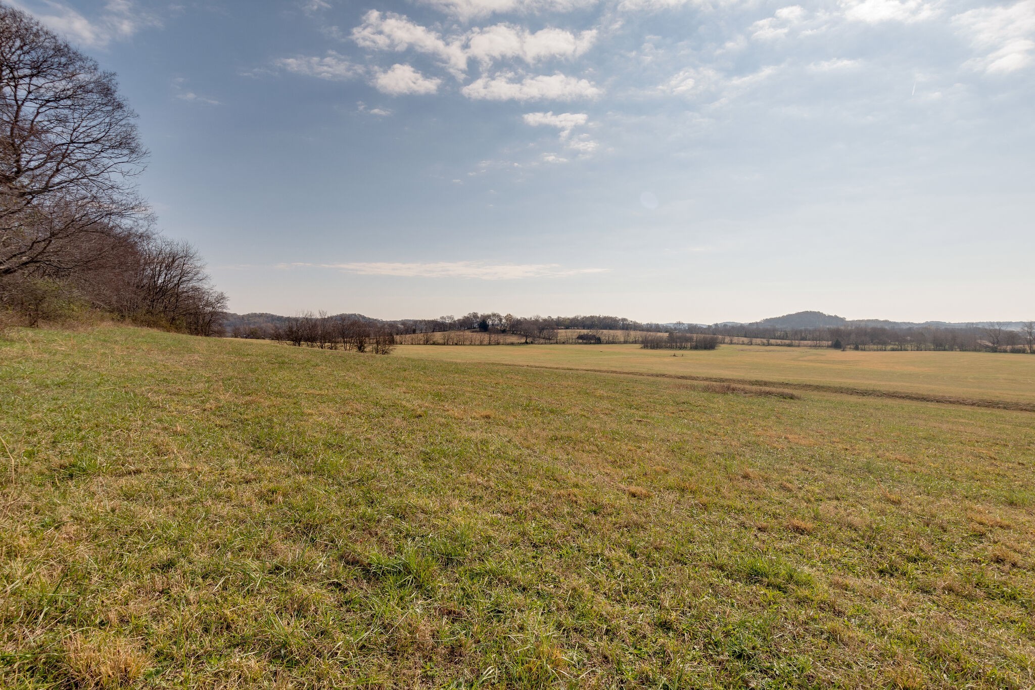 0 Coleman Road Cornersville, TN 37047 - Photo 9 of 11 Gallery Image 9