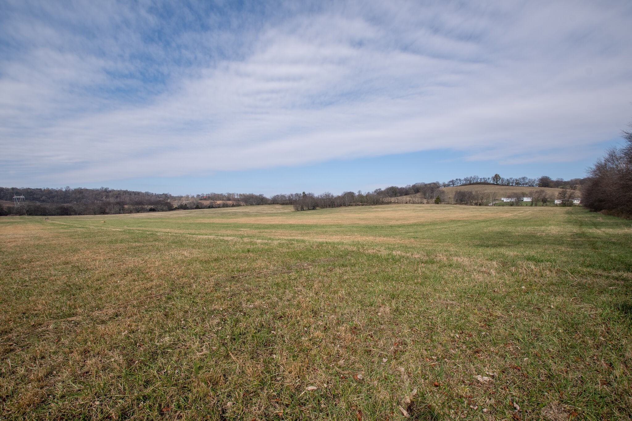 0 Coleman Road Cornersville, TN 37047 - Photo 10 of 11 Gallery Image 10