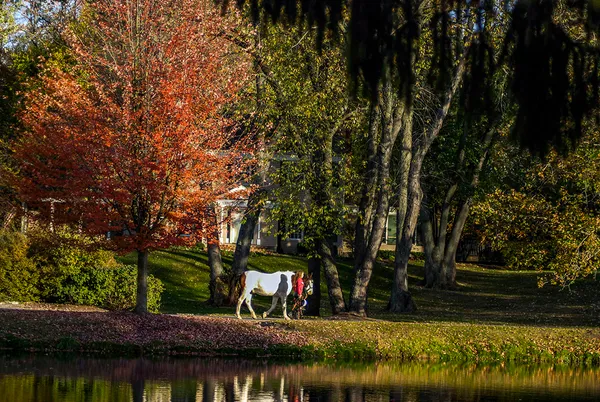 $1,299,000 | 204 Country Commons Road, Trout Valley, IL 60013