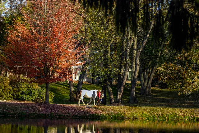 a view of yard tennis court