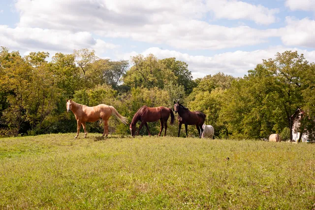 a view of a lake from a mountain view