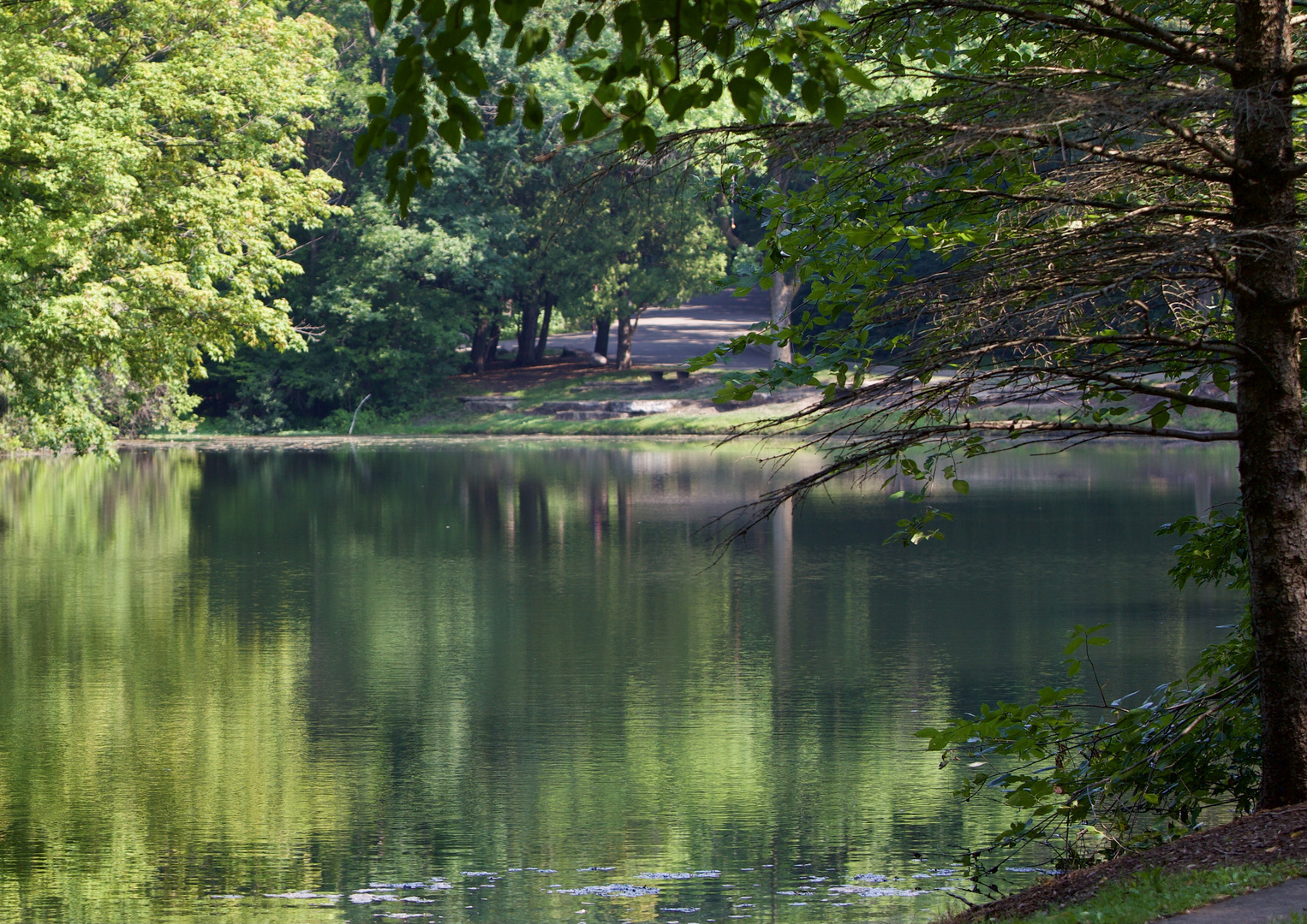 204 Country Commons Road Trout Valley, IL 60013 - Photo 52 of 58 a view of lake