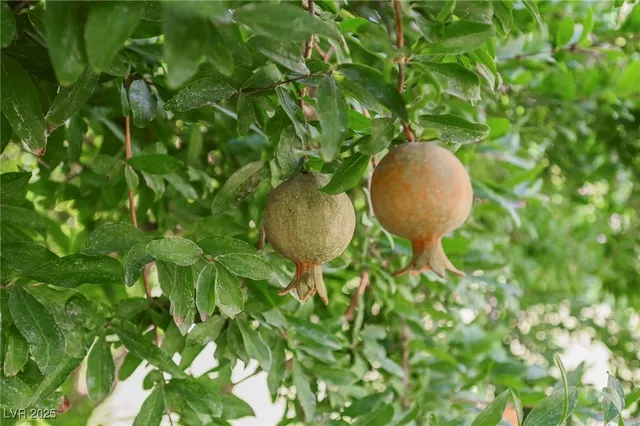 $17,000,000 | 7330 North Rainbow Boulevard, Las Vegas, NV 89131