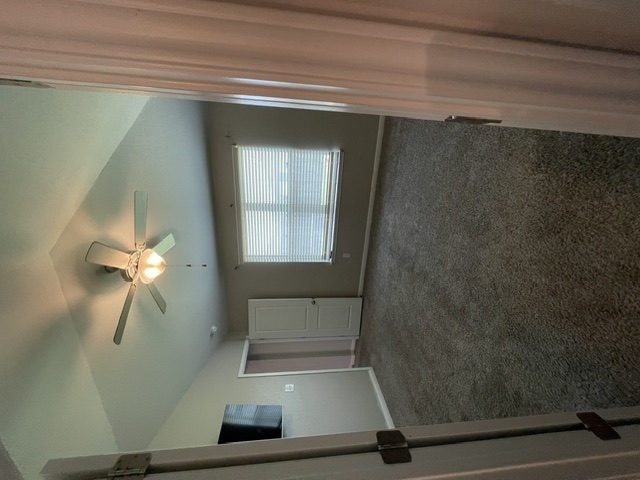 12401 Amber Lynn Path Manor, TX 78653 - Photo 16 of 33 Discover a spacious primary bedroom with plush carpeting and natural illumination.